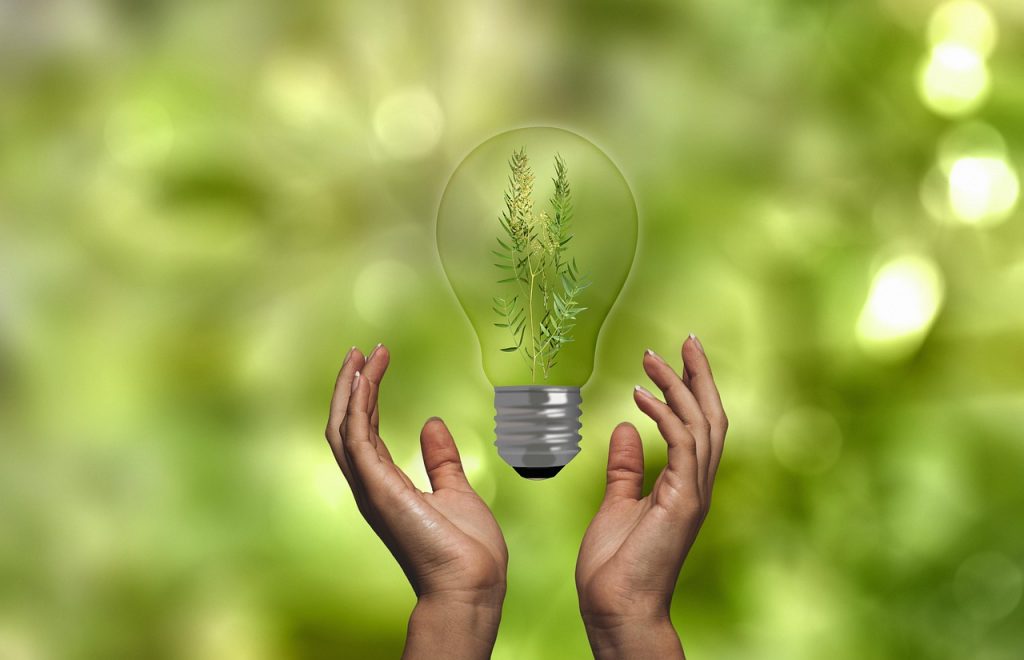 Carbon reduction: In the fight against climate change - is it enough?