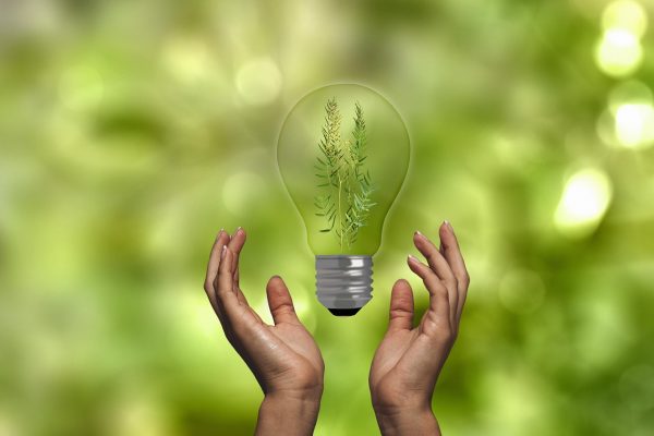 Carbon reduction: In the fight against climate change - is it enough?