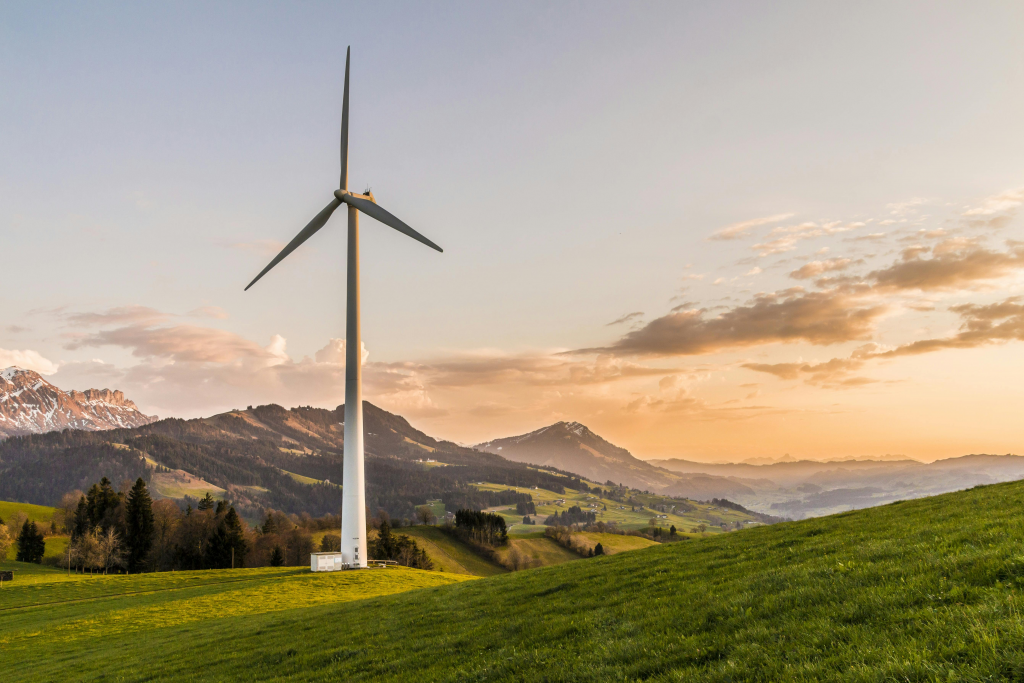 Market Report | May 2025
